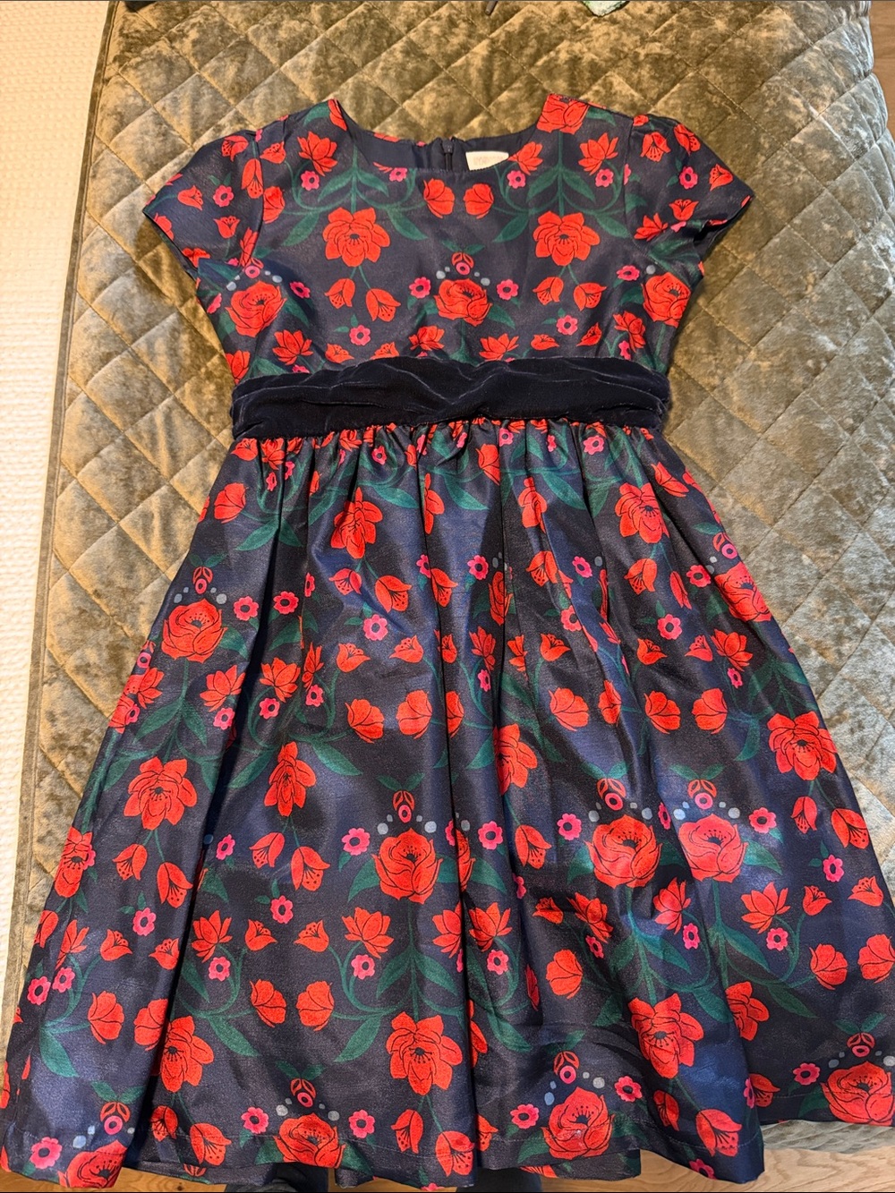 Gymboree Navy Floral Dress with Red Rose Print